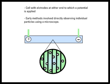 Electrophoretic mobility